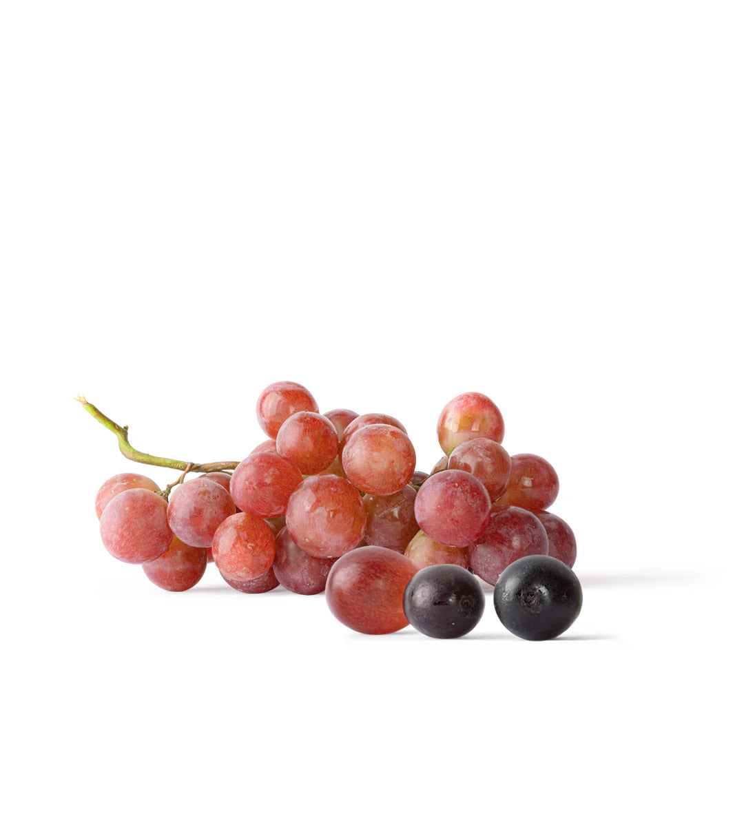 Seedless Table Grapes